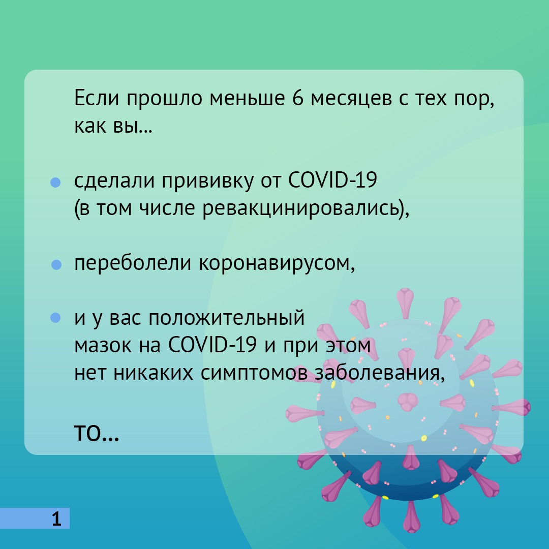 WhatsApp Image 2022 01 31 at 15.00.06